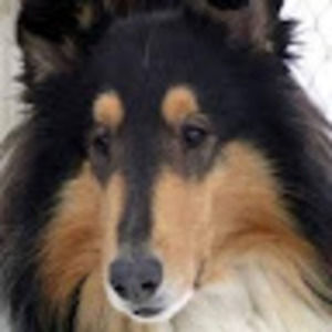 Meet your Posher, Josée